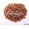 roasted buckwheat kernel