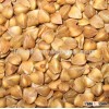 Roasted buckwheat kernel/groat buckwheat from china price