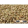 Roasted Buckwheat