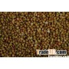 buckwheat