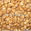 Roasted Buckwheat Kernel/Groats 2015 new crop original in Inner Mongolia