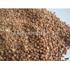 Roasted buckwheat kernel buckwheat from china price