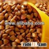 Buckwheat Kernels Roasted Sweet Type