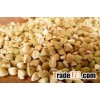 Buckwheat High Quality