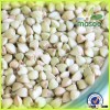 Supply different kind of buckwheat, such as buckwheat flour/green buckwheat
