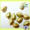 Supply different kind of buckwheat, such as buckwheat husk pillow/green buckwheat
