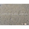 Japonica rice