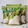 Japonica Rice, Sushi Rice, Japanese Rice, Rice, White rice, medium Rice, Short Grain Rice