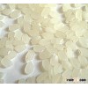 Vietnam Round Grain Rice (Japonica rice, Calrose rice, Sushi rice)
