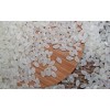 Best Quality Japonica Rice