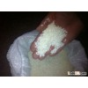 CAMOLINO RICE 5% BROKEN - EXPORT TO EU