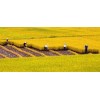 Vietnam Medium round rice 5% to 100% - sales4 @vinarice.vn