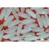 VIETNAMESE JAPONICA RICE - NEW CROP SALES4@VINARICE.VN SKYPE SONAINTER4