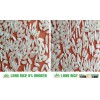 Vietnam Calrose medium grain rice 5% broken -Good Quality sales4 @ vinarice.vn