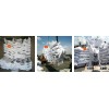 ROUND RICE ( JAPONICA RICE ) + 84 168 2964 221