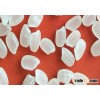 Japonica Rice or Sushi Rice or Japanese Rice 5% broken, HOT RICE, HOT PRICE