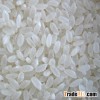 VIETNAM CAMOLINO RICE 5% BROKEN