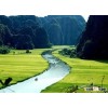 Jasmine rice - sales4@vinarice.vn