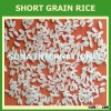 RICE MILLER IN VIETNAM
