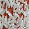 VIETNAMESE WHITE RICE 2015