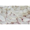 JAPONICA RICE- 2014
