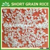 RICE PROTEIN -RELIABLE RICE SUPPLIER
