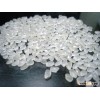 VIETNAMESE JAPONICA RICE HIGH QUALITY