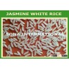 WWW.VINARICE.VN - Jasmine frangrant rice 5% broken - Good rice for cooking