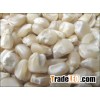 High Quality White Maize