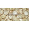 WHITE MAIZE FOR SALE