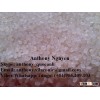 JAPONICA RICE -VIBER/WHATSAPP/TANGO: 0084.905.209.103 -EMAIL: anthony.vilaconic@gmail.com