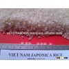Vietnamese Round Short Grain Japonica Rice Premium AA+ Quality -Viber/Whatsapp/Tango: +84905.209.103