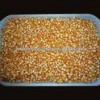 Export of yellow corn - animal feed from india
