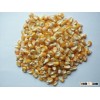Yellow Maize