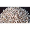 White Maize
