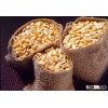 Agricultural Products yellow maize