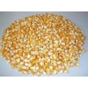 FRESH YELLOW CORN FOR ANIMAL FEEDING