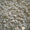 new crop NON-GMO / Organic white maize/corn from Africa