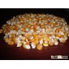 Yellow corn