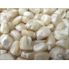 Nuticious White and Yellow Maize Corn for sale at cheap prices