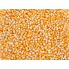 Best Quality White and Yellow Corn/Maize GRADE 1