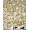 White Maize