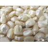 Best quality White Corn (Human Consumption - Grade 1
