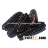 Purple Corn,/Purple maize FOR SALE