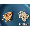 Yellow Corn & Yellow Maize