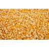 maize or yellow corn