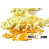 100% Clean Yellow Corn(Maize), Pop Corn, white corn!!!