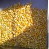 Yellow maize/corn for human consumption.