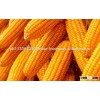 Dry Maize/Dried yellow corn/dried sweet corn