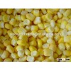 new crop super sweet corn kernel